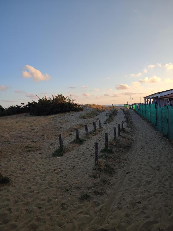 Domusauroom, Relax Nel Cuore Della Versilia - Pet Friendly Viareggio Exteriér fotografie