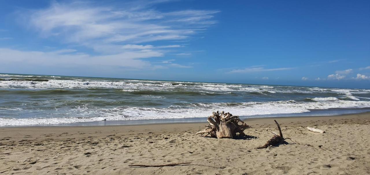 Domusauroom, Relax Nel Cuore Della Versilia - Pet Friendly Viareggio Exteriér fotografie