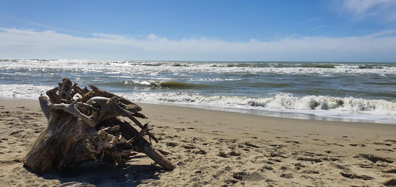 Domusauroom, Relax Nel Cuore Della Versilia - Pet Friendly Viareggio Exteriér fotografie