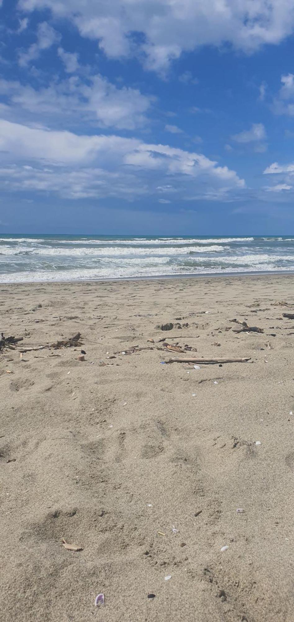 Domusauroom, Relax Nel Cuore Della Versilia - Pet Friendly Viareggio Exteriér fotografie