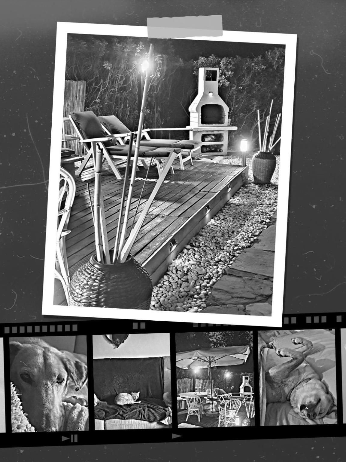 Domusauroom, Relax Nel Cuore Della Versilia - Pet Friendly Viareggio Exteriér fotografie