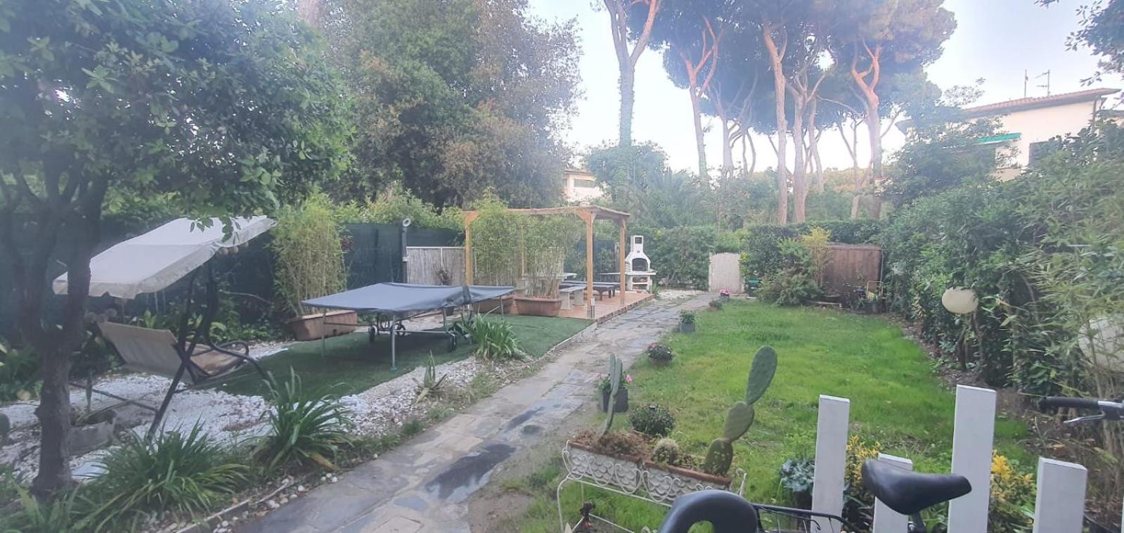 Domusauroom, Relax Nel Cuore Della Versilia - Pet Friendly Viareggio Exteriér fotografie
