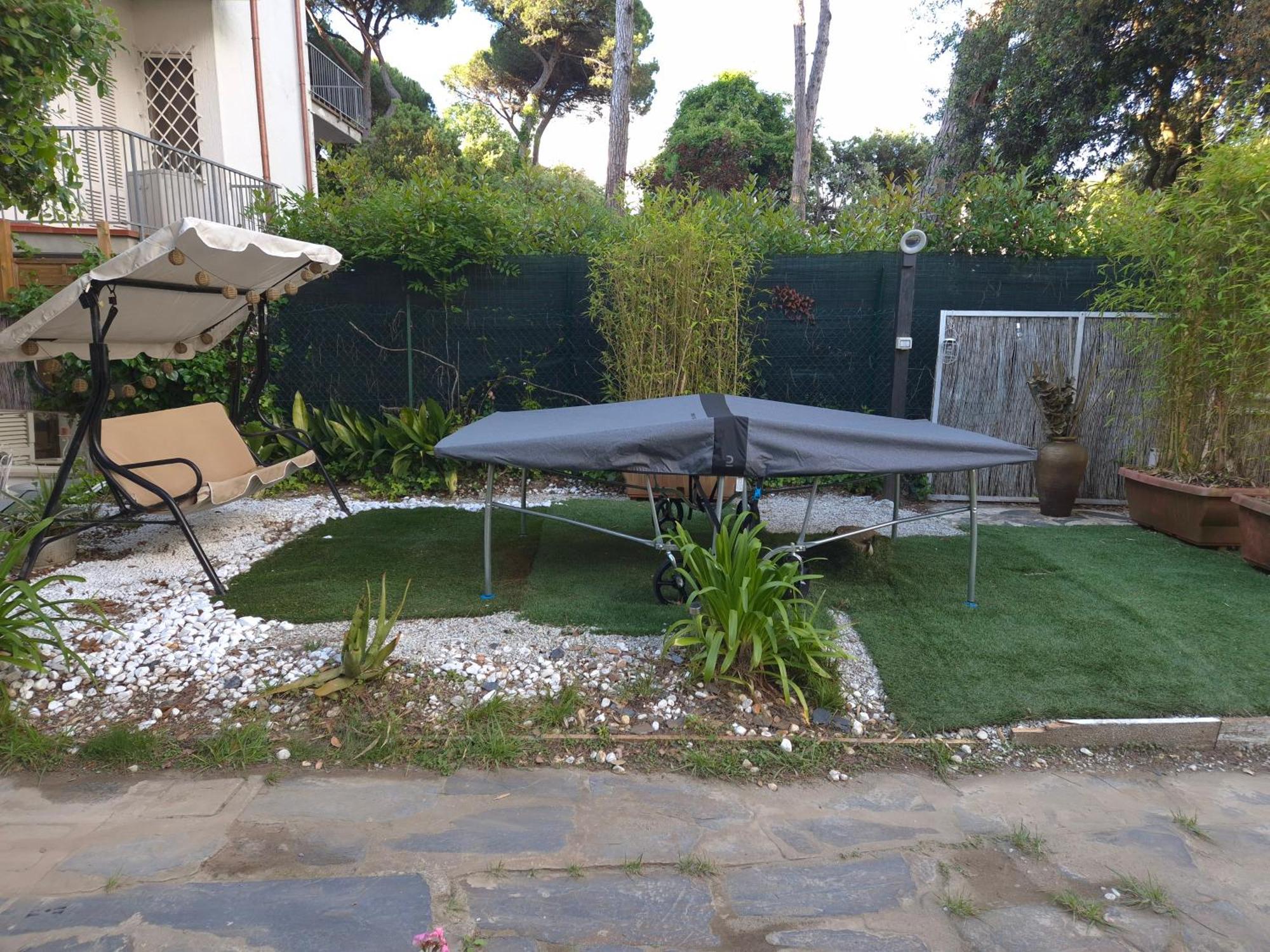 Domusauroom, Relax Nel Cuore Della Versilia - Pet Friendly Viareggio Exteriér fotografie
